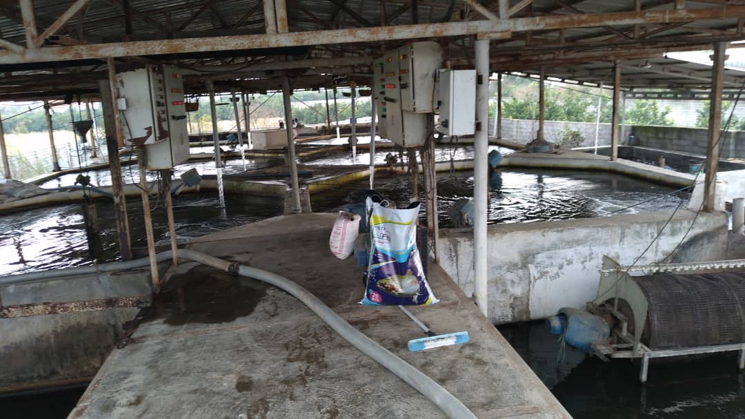 گفت و گو با پیشکسوت کارآفرین نادر برارنژاد گفت و گو با پیشکسوت کارآفرین نادر برارنژاد