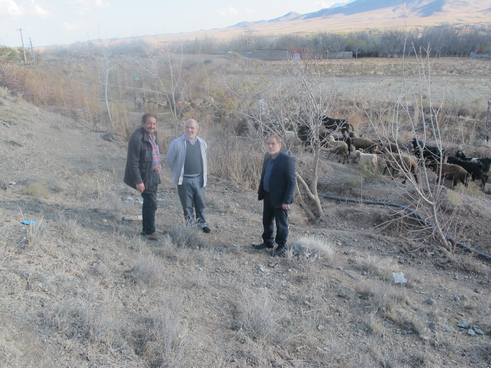 پیشکسوت محمدعلی دستوری پیشکسوت محمدعلی دستوری