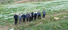کوهپیمایی پیشکسوتان شهرستان  ماکو در ارتفاعات قره خاچ