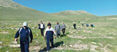 کوهپیمایی مشترک پیشکسوتان شهرستان  ماکو در ارتفاعات شهرستان ماکو